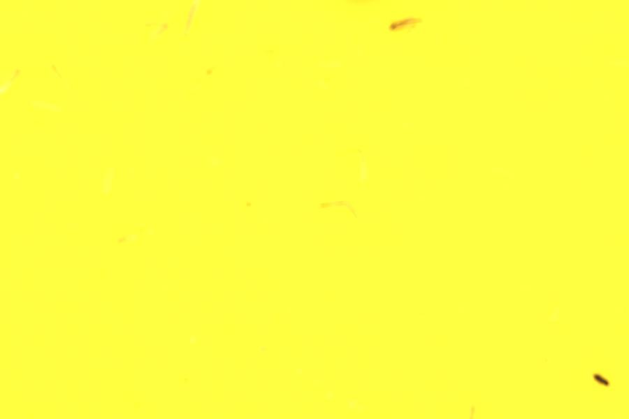 Image 28